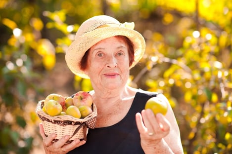 senior-woman-holding-an-apple-in-orchard