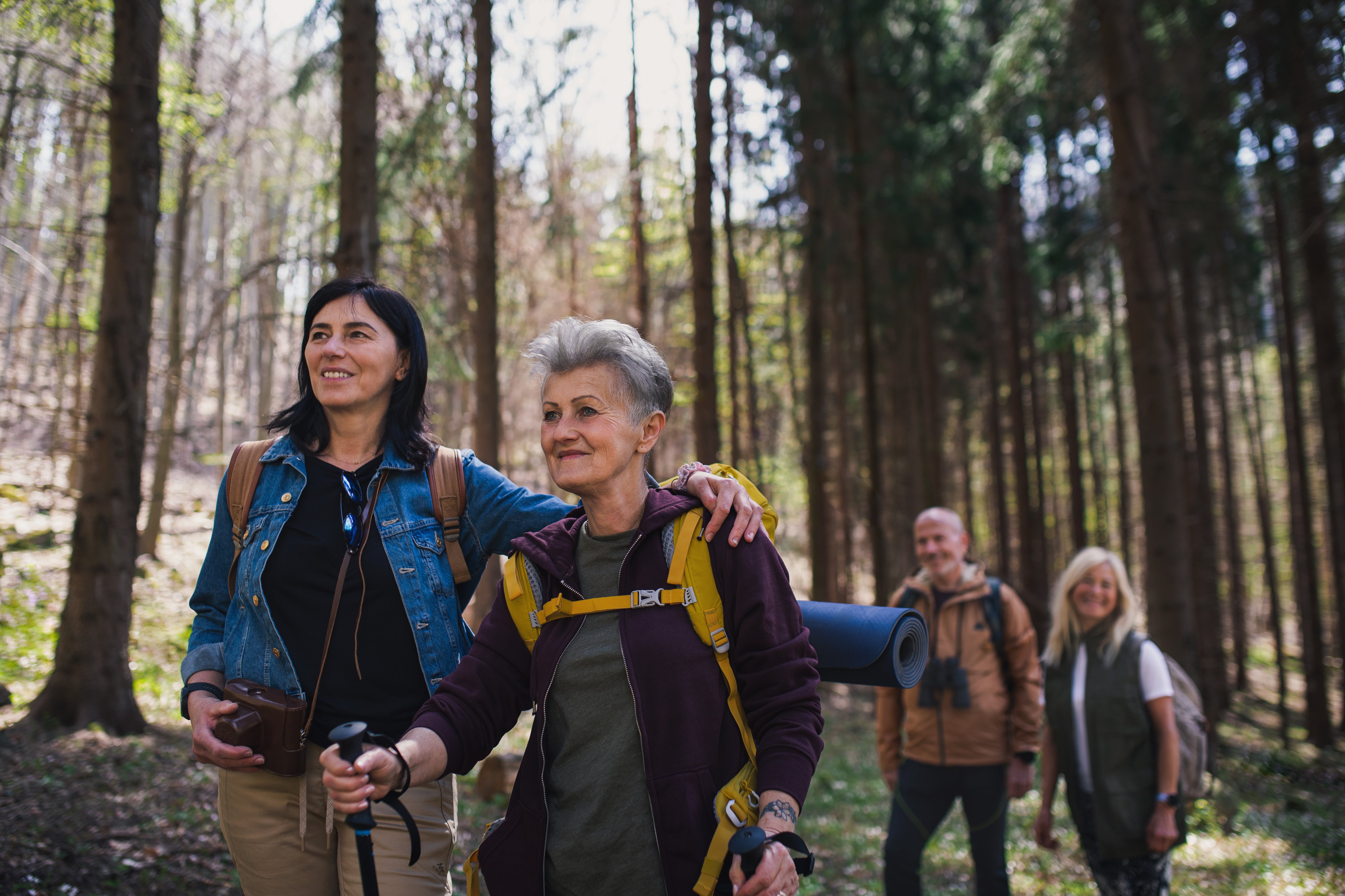 group-of-seniors-hikers-in-forest
