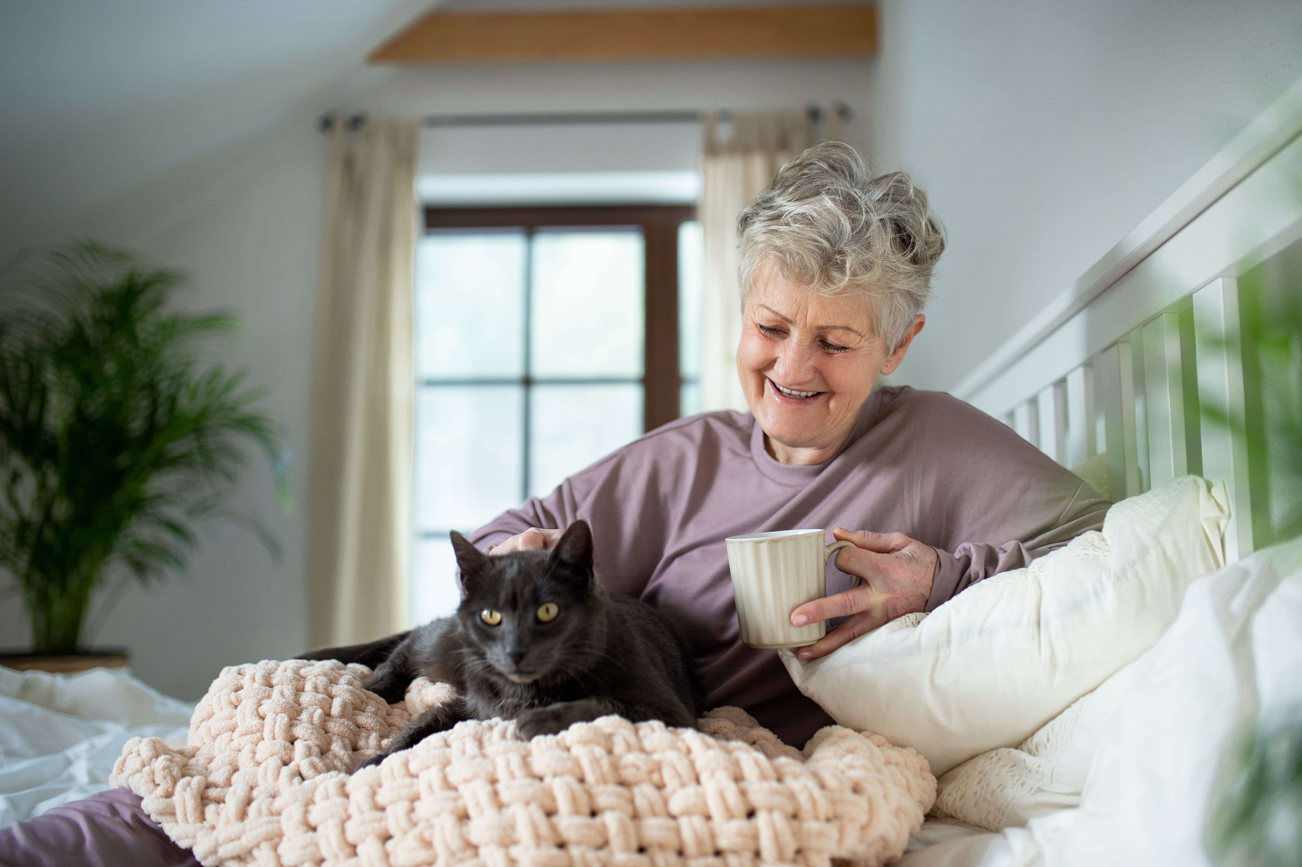 happy-senior-woman-with-cat-resting-in-bed-at-home