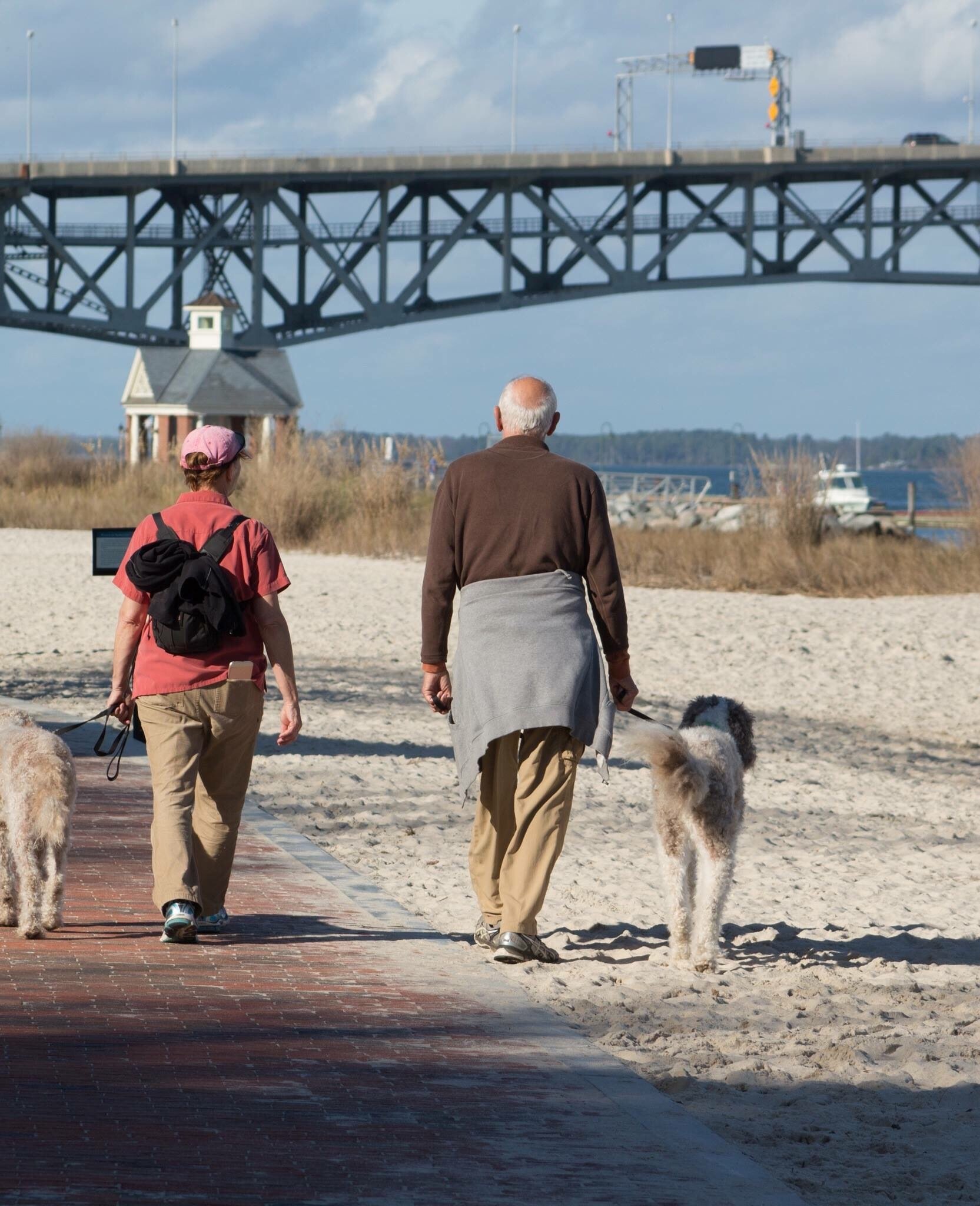 older-couple-enjoying-a-walk-with-their-dogs-by-beach