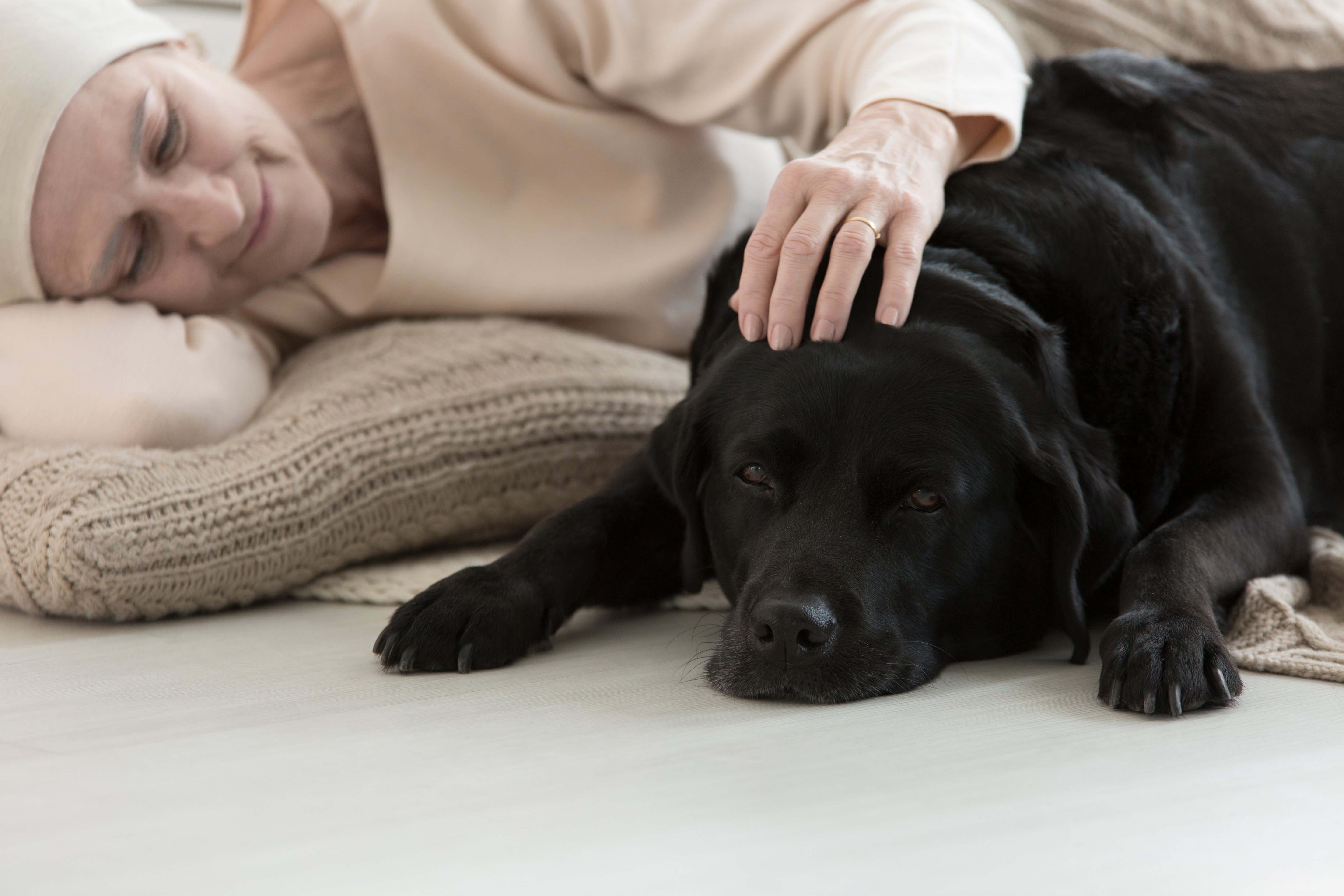 senior-cancer-patient-sleeping-with-dog